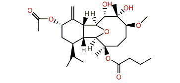 Krempfielin D